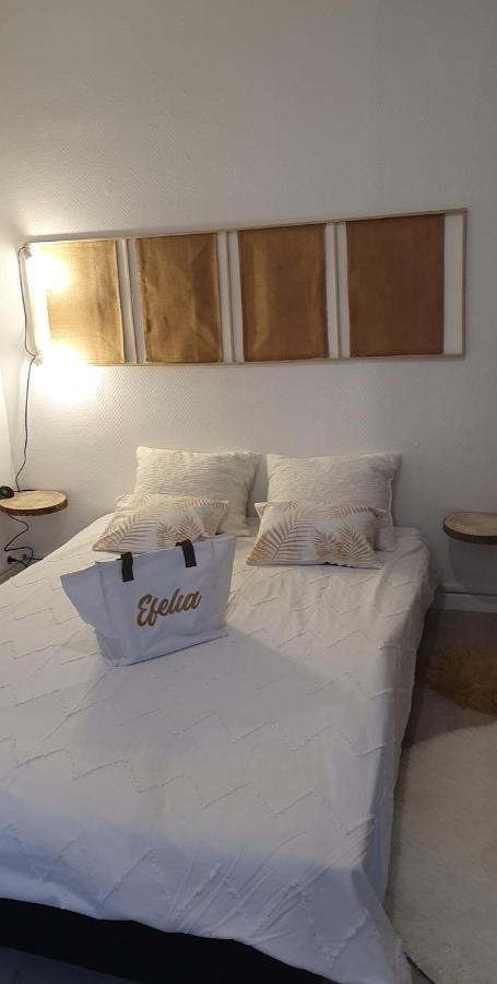 Maison Cosy Paris Orly Jardin Privee Vitry-sur-Seine Dış mekan fotoğraf